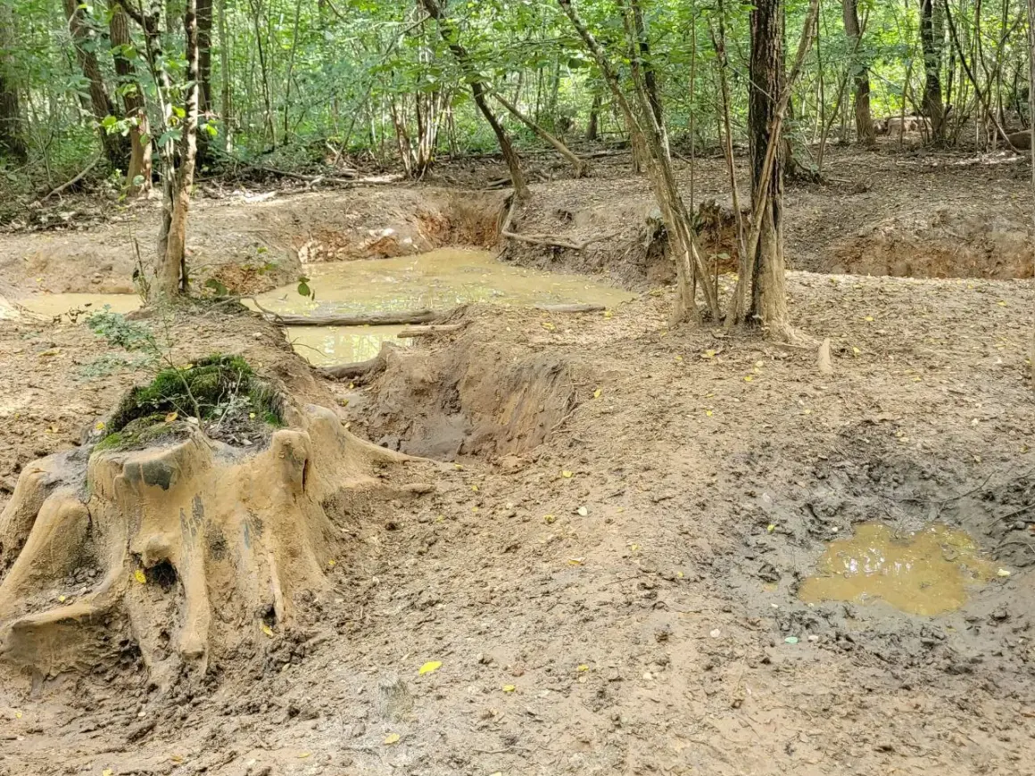 Un sentier boueux et des flaques d'eau dans une forêt, rappelant les chemins accidentés du massif des Trois Pignons.