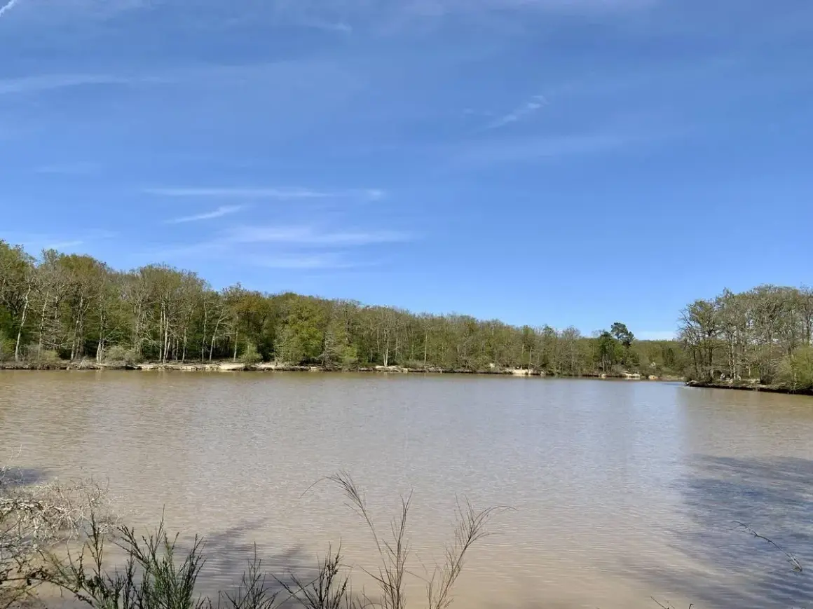Calme lac bordé par la forêt de Bouconne, idéal pour un itinéraire de randonnée paisible.