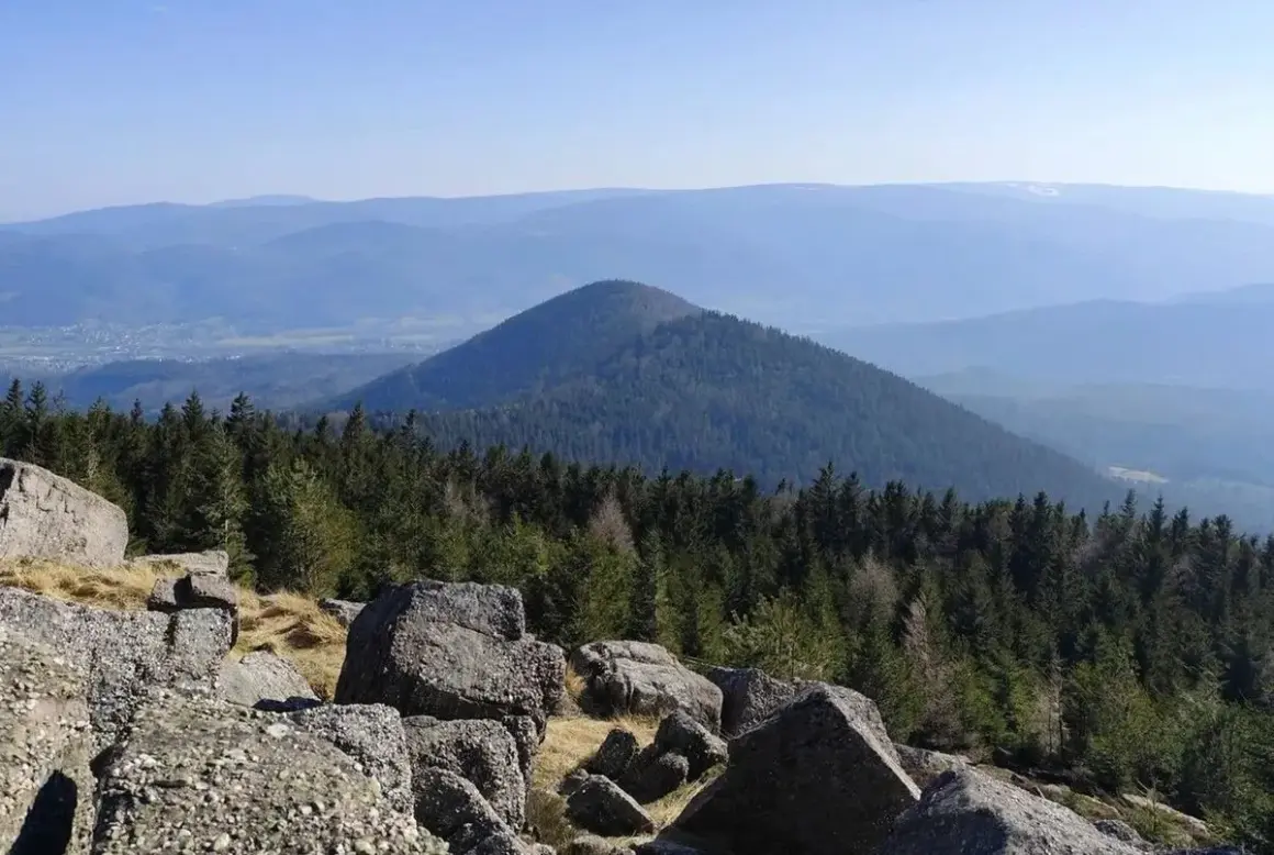 Vue panoramique depuis le rocher de Mutzig, avec une forêt dense et une montagne conique en arrière-plan.