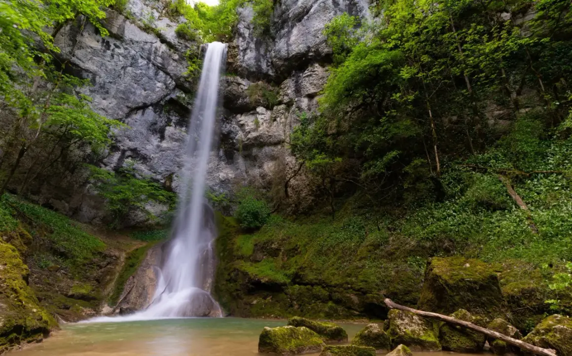 La cascade de la quinquenouille dévale une falaise rocheuse, entourée d'une végétation luxuriante et verdoyante. L'eau forme un bassin clair au pied de la chute.