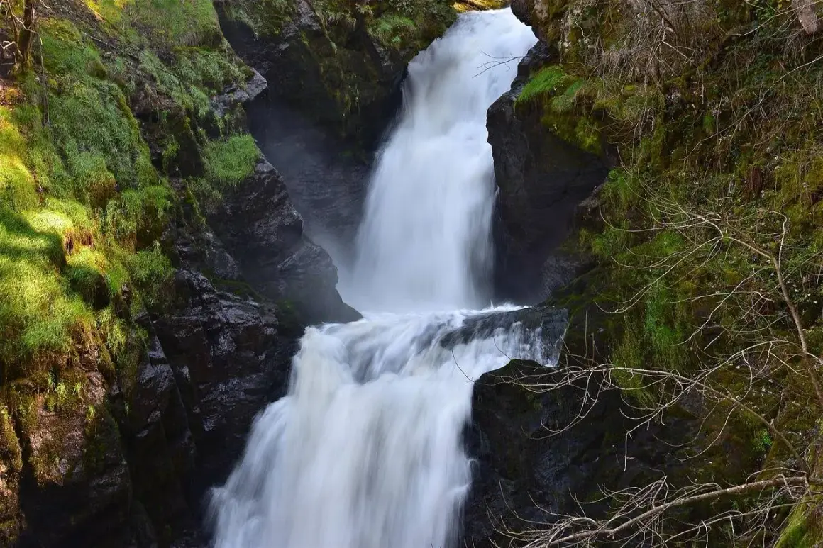 La piscia di l'onda, une cascade puissante dévale des rochers verdoyants, créant un spectacle naturel saisissant.