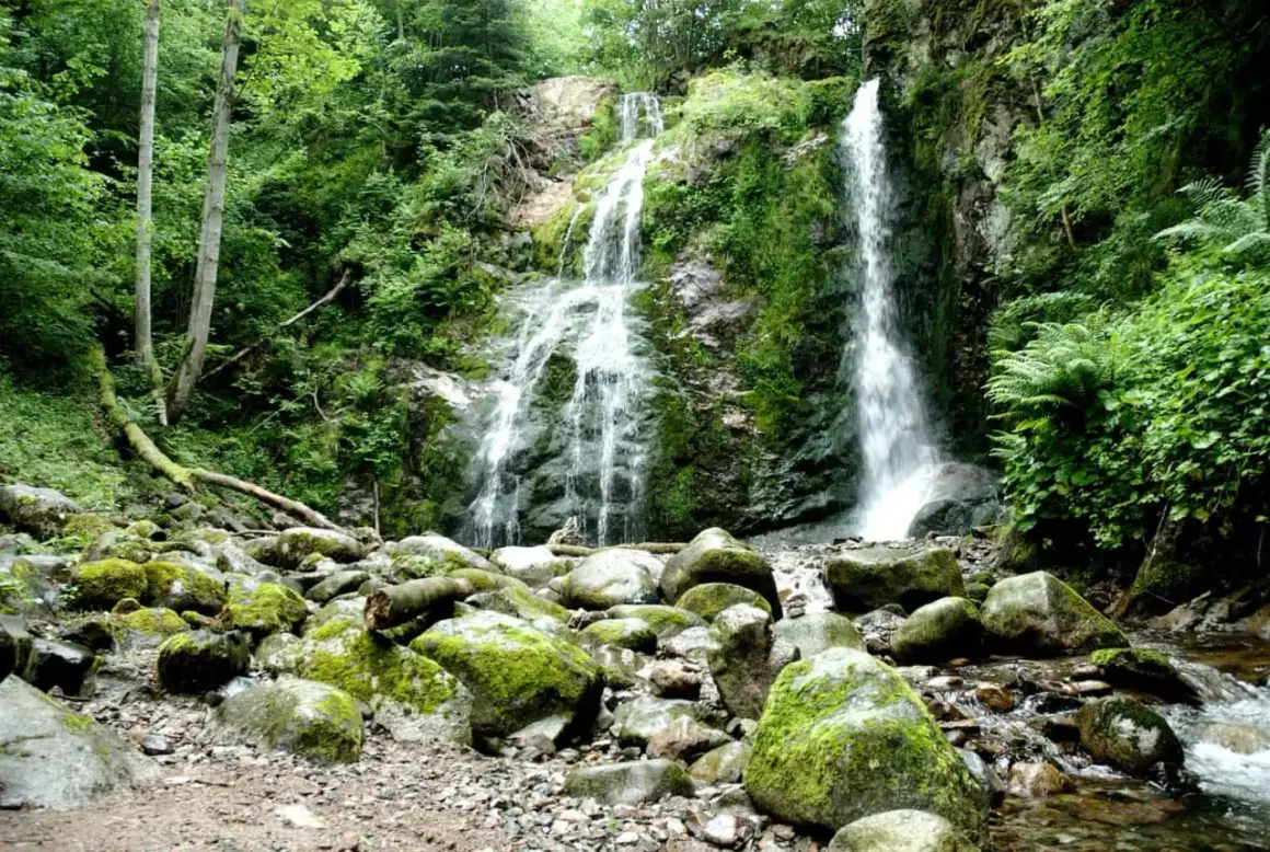 La cascade du Heidenbad dévale une falaise rocheuse verdoyante, entourée d'une forêt luxuriante. Des rochers moussus bordent le cours d'eau en contrebas.