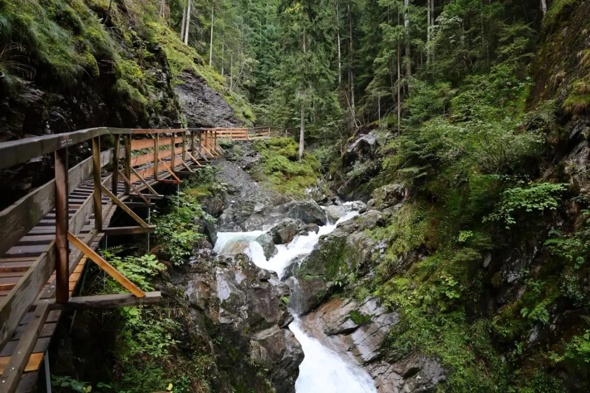 Sentier en bois longeant une cascade tumultueuse dans les gorges du Fier, au cœur d'une forêt verdoyante.
