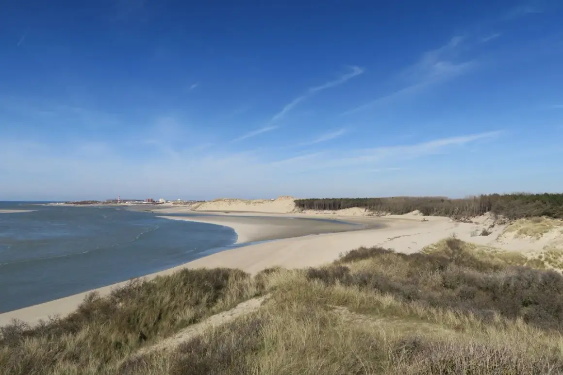Vue panoramique de la baie d'Authie, avec ses dunes, sa plage de sable fin et sa forêt. Un bel itinéraire pour une promenade.