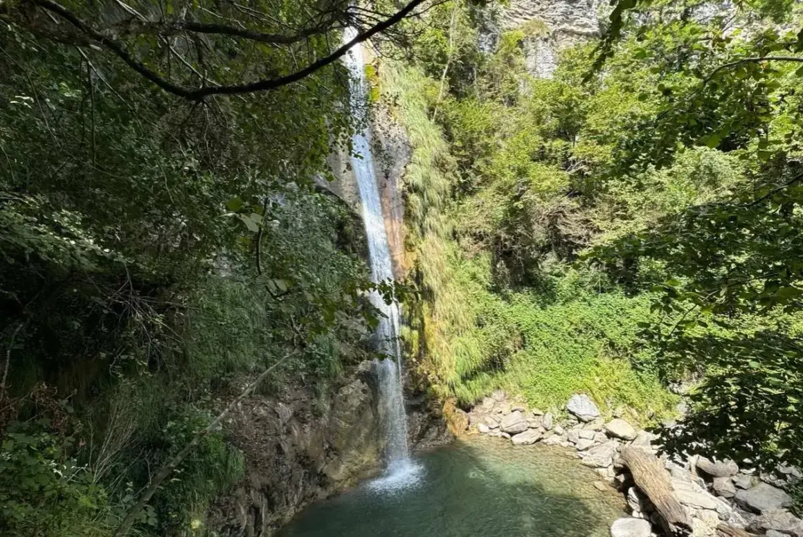 Une belle cascade de seris tombe dans un bassin d'eau claire, entourée de végétation luxuriante et de rochers.