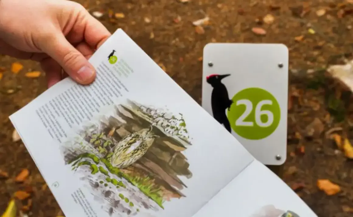 Un livret sur les oiseaux du parc de Loos, avec une illustration et un panneau indiquant le numéro 26 et un pic noir.