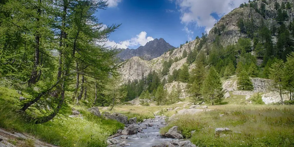 Un ruisseau serpente à travers une prairie verdoyante, bordée d'arbres et de rochers, menant à des montagnes escarpées sous un ciel bleu dans le parc de la Valmasque.