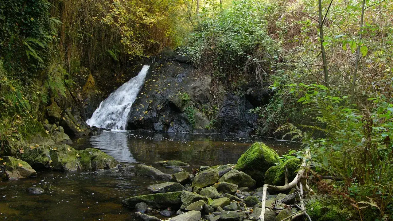 Un paisible saut du gier, entour&eacute; de verdure luxuriante et de rochers moussus, invite &agrave; la contemplation.