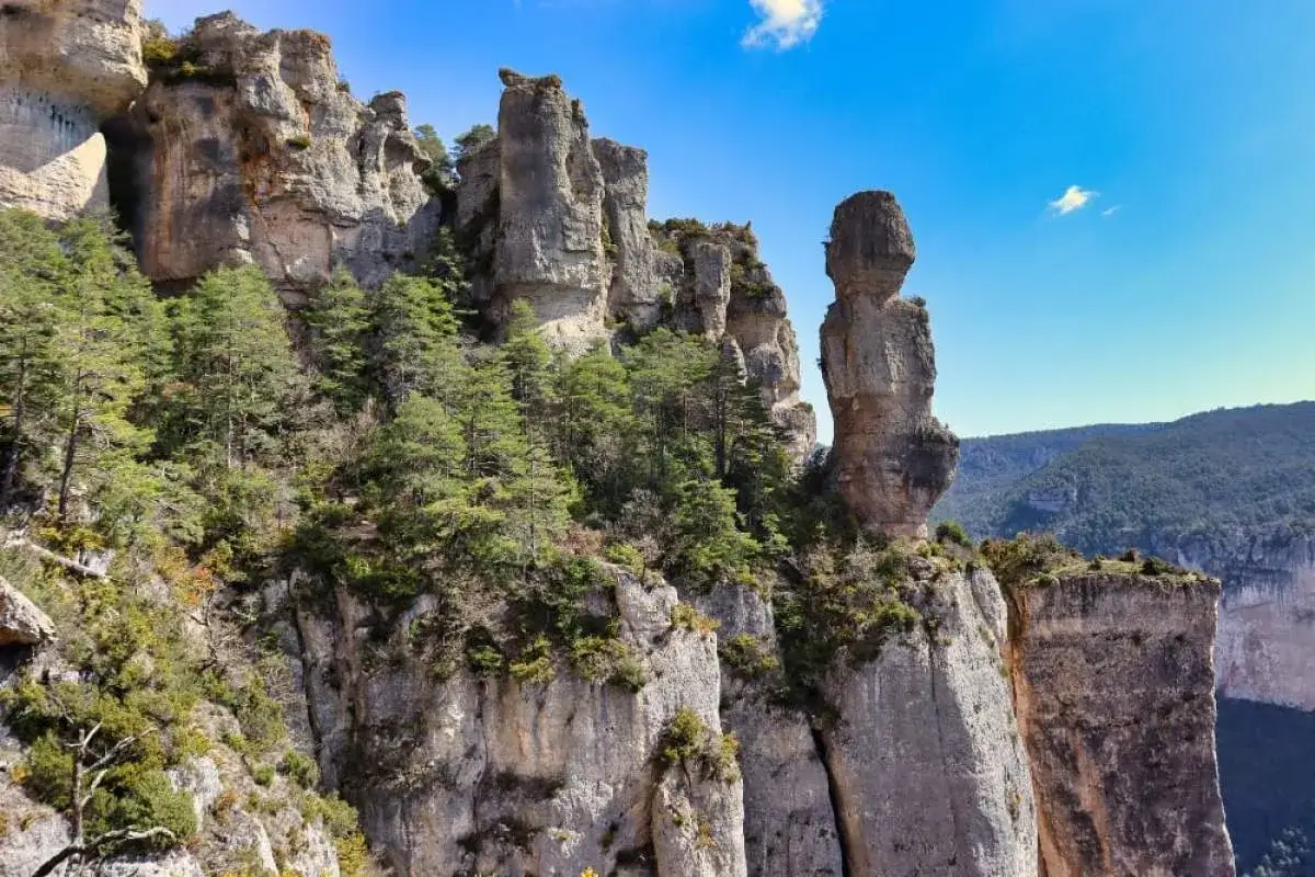 Majestueuses falaises rocheuses et pins verts dans les gorges de la Jonte, sous un ciel bleu &eacute;clatant.