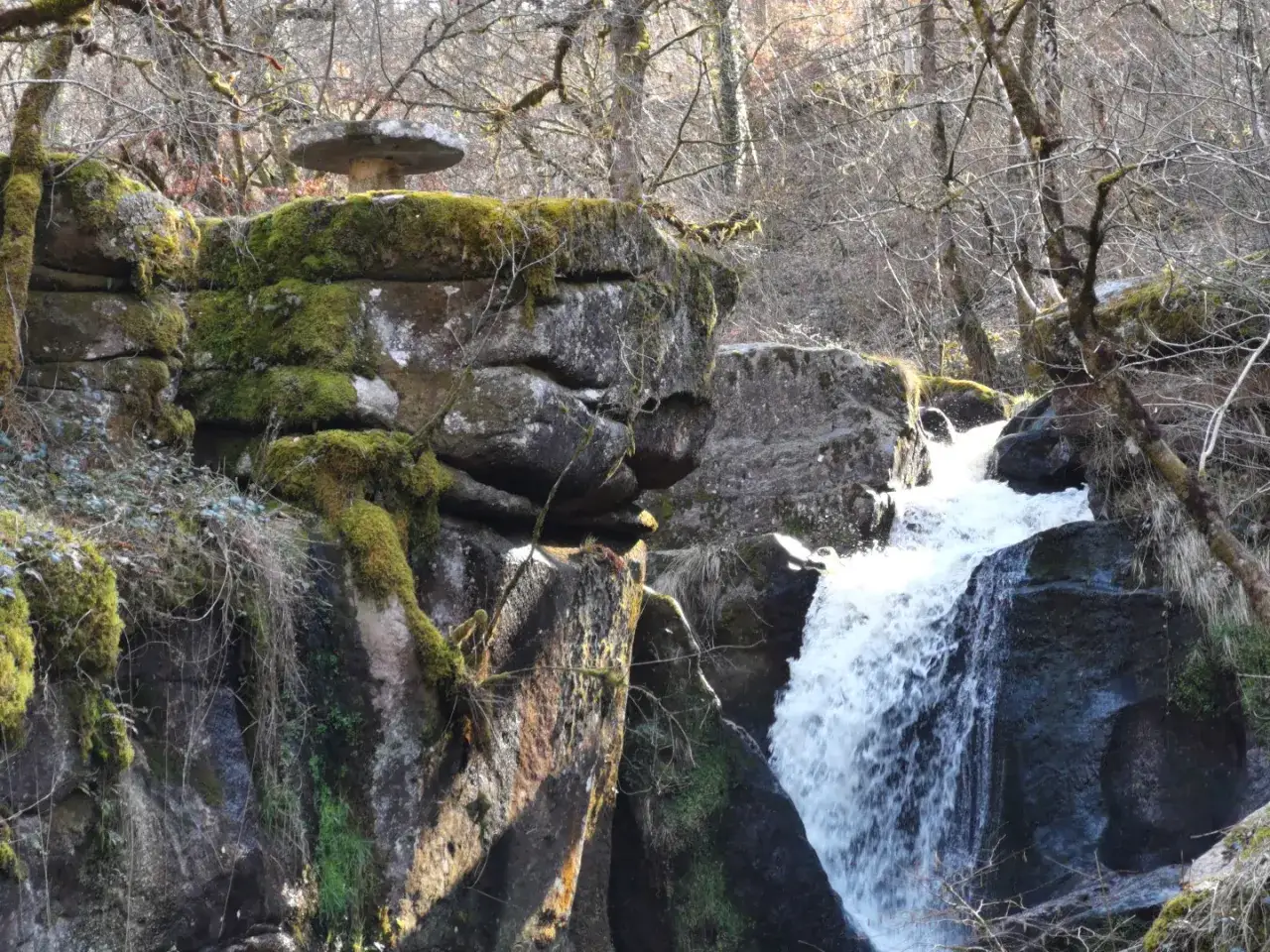 La cascade des Jarrauds, une chute d'eau tumultueuse, se fraye un chemin à travers des rochers moussus et des arbres dénudés.
