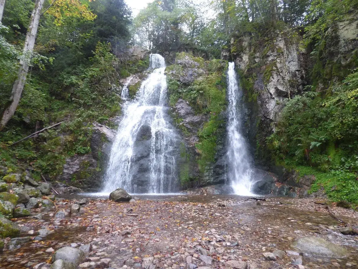 La cascade du Heidenbad d&eacute;vale une paroi rocheuse verdoyante, entour&eacute;e d'arbres. L'eau tombe en plusieurs filets dans un bassin peu profond.