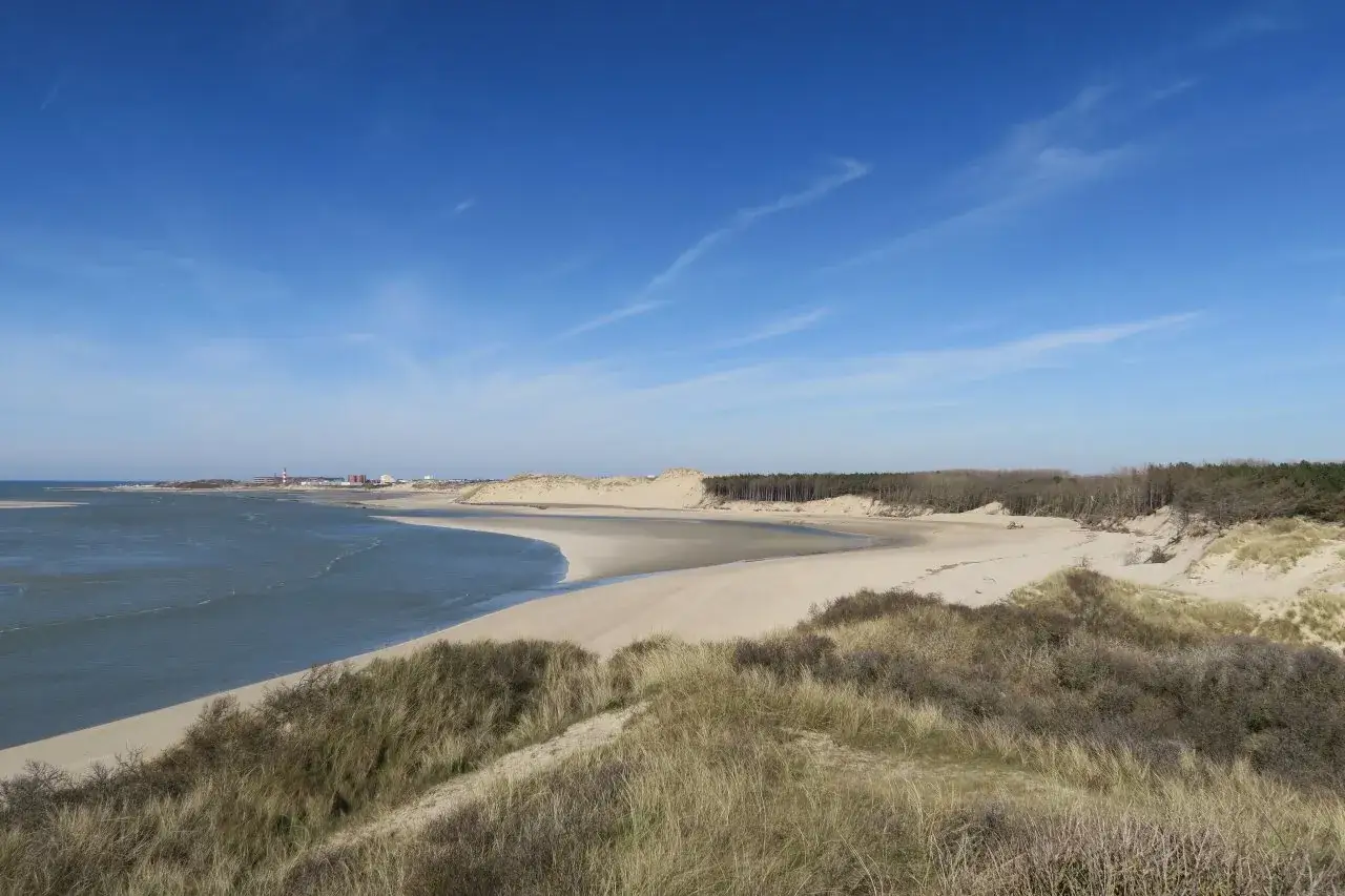 Vue panoramique de la baie d'Authie, avec ses dunes, sa plage de sable fin et sa for&ecirc;t. Un itin&eacute;raire de randonn&eacute;e id&eacute;al pour d&eacute;couvrir ce paysage c&ocirc;tier pr&eacute;serv&eacute;.