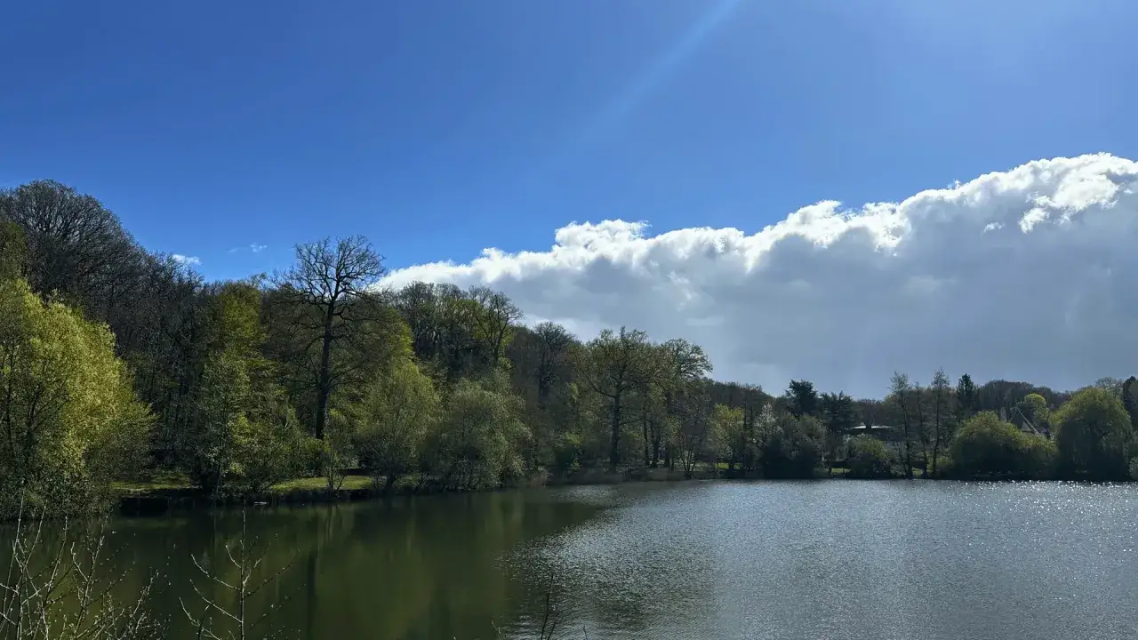 Calme lac refl&eacute;tant la verdure luxuriante de la for&ecirc;t de Meudon sous un ciel bleu parsem&eacute; de nuages blancs.