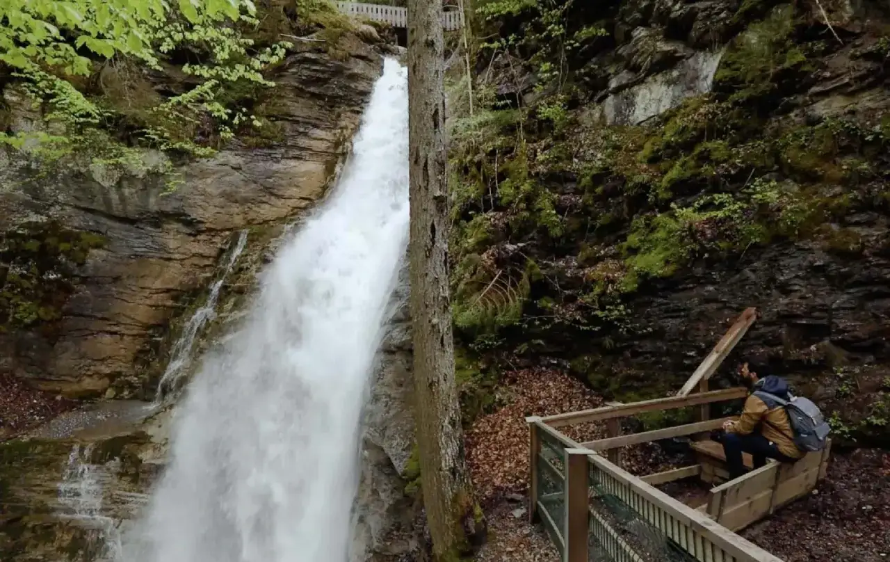 Un homme admire la cascade de Nyon, entour&eacute;e de verdure et de rochers. Un chemin en bois m&egrave;ne &agrave; un point de vue.