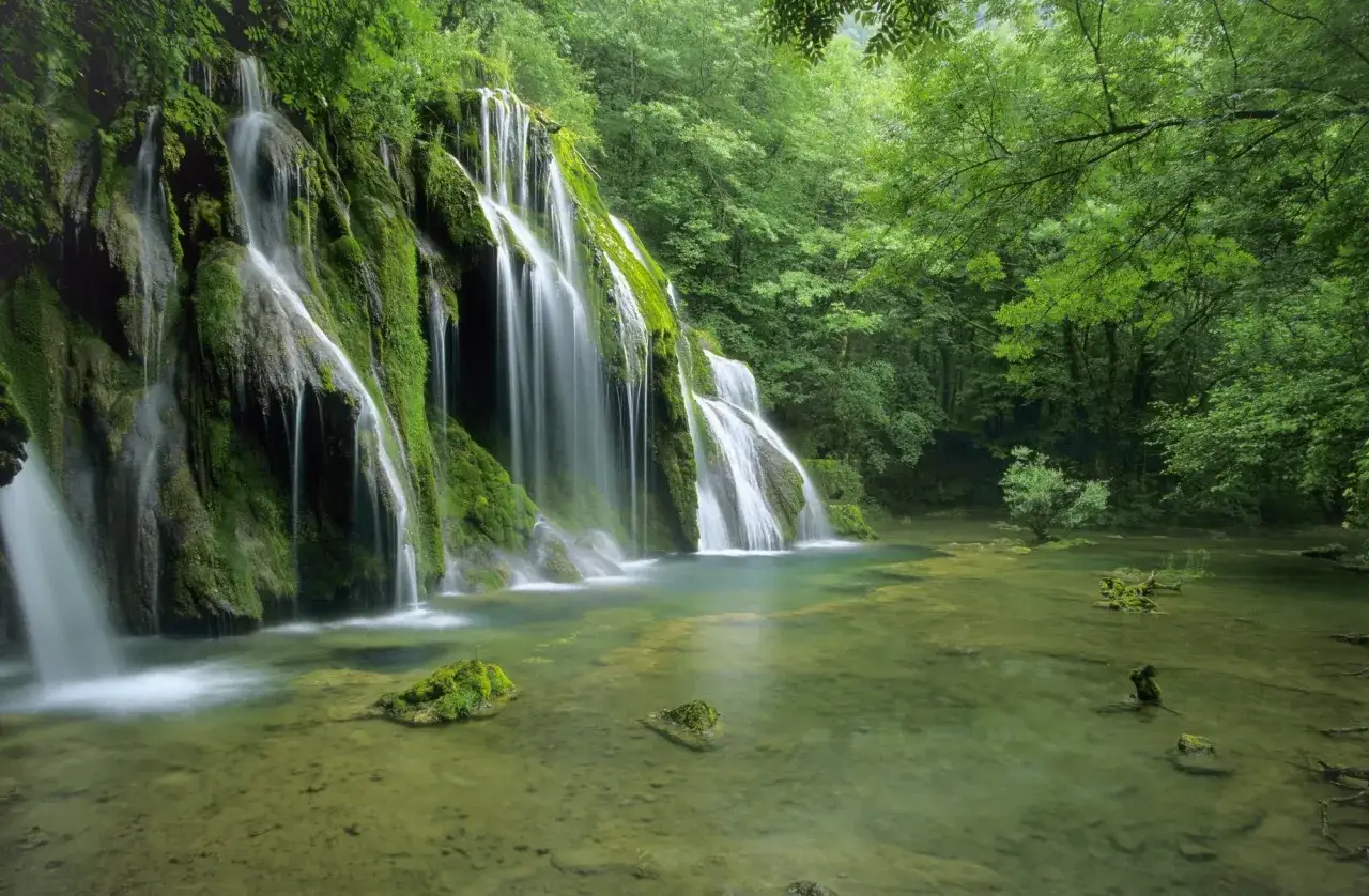 Une cascade des tufs, drapée de mousse verte, se jette dans une eau claire et paisible, entourée d'une forêt luxuriante.