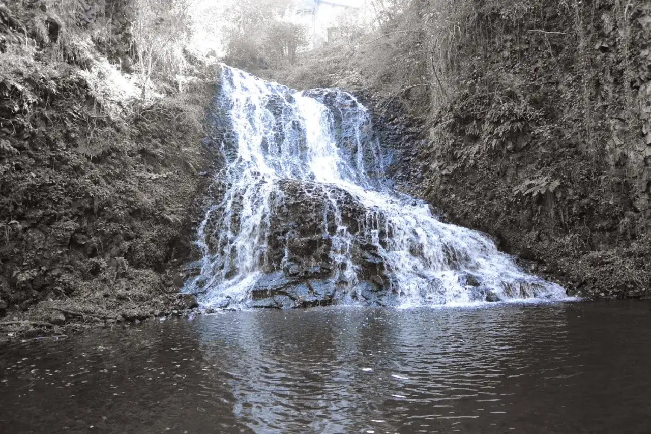 La cascade des Saliens d&eacute;vale une paroi rocheuse verdoyante, ses eaux blanches se jetant dans un bassin paisible.