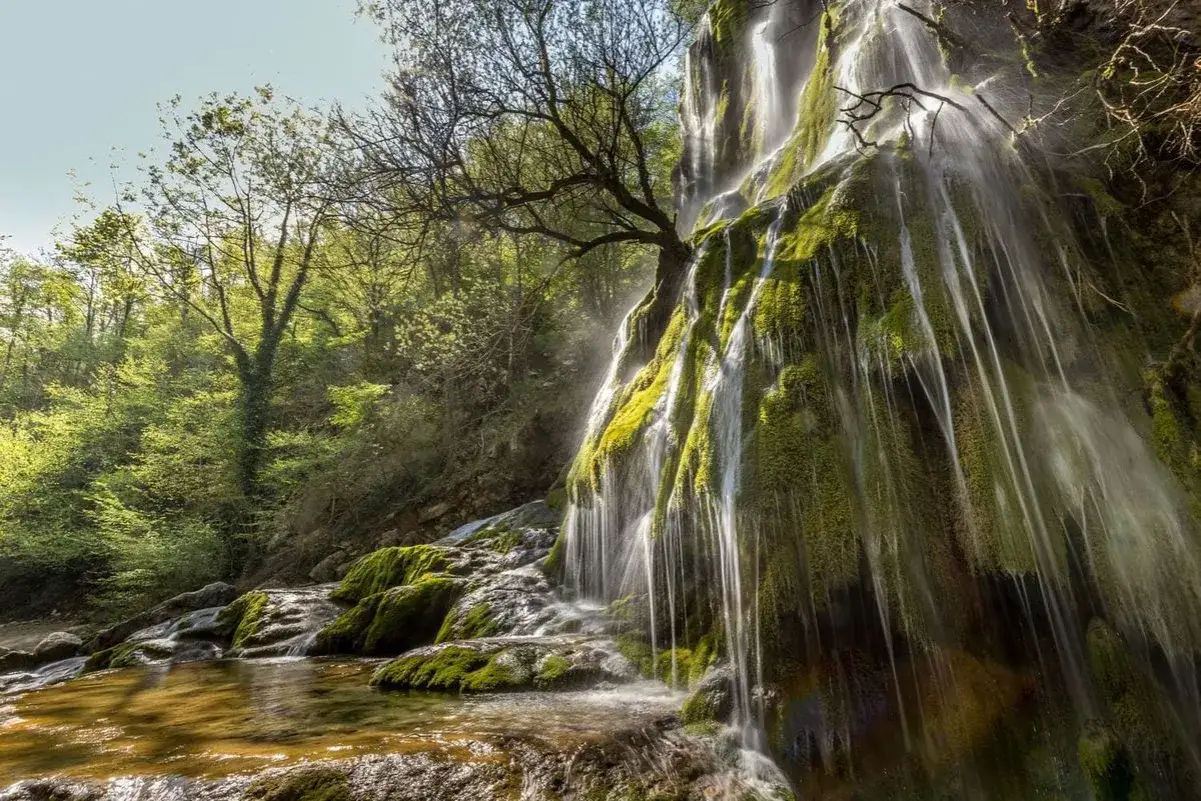La chute de la druise, une cascade verdoyante ruisselant sur des rochers moussus, se jette dans un bassin d'eau claire au c&oelig;ur d'une for&ecirc;t luxuriante.