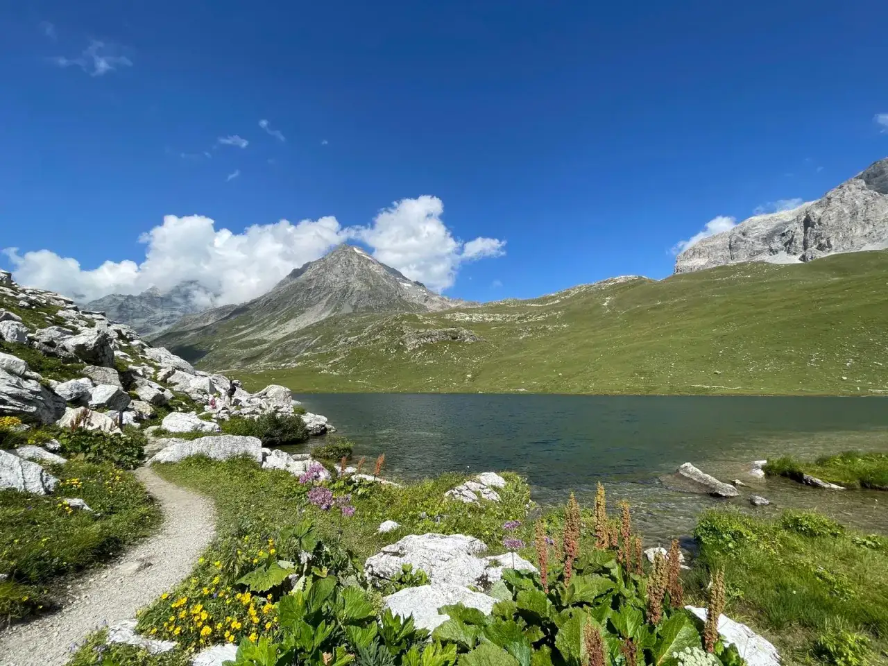 Sentier rocailleux menant au lac de la Plagne, entour&eacute; de montagnes verdoyantes et de fleurs sauvages sous un ciel bleu &eacute;clatant.
