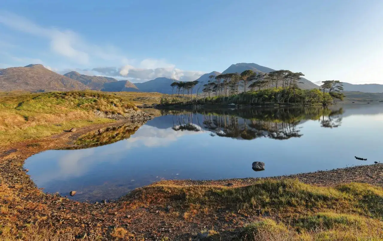 Le lac du Connemara, lieu paisible, reflète des montagnes et une île boisée sous un ciel bleu.