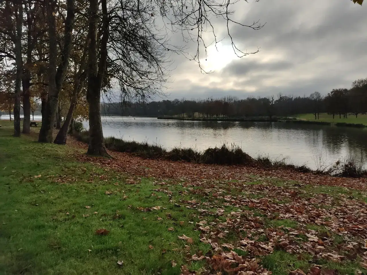 L'étang de Buhel sous un ciel couvert, avec des arbres dénudés sur la rive et des feuilles mortes jonchant l'herbe.