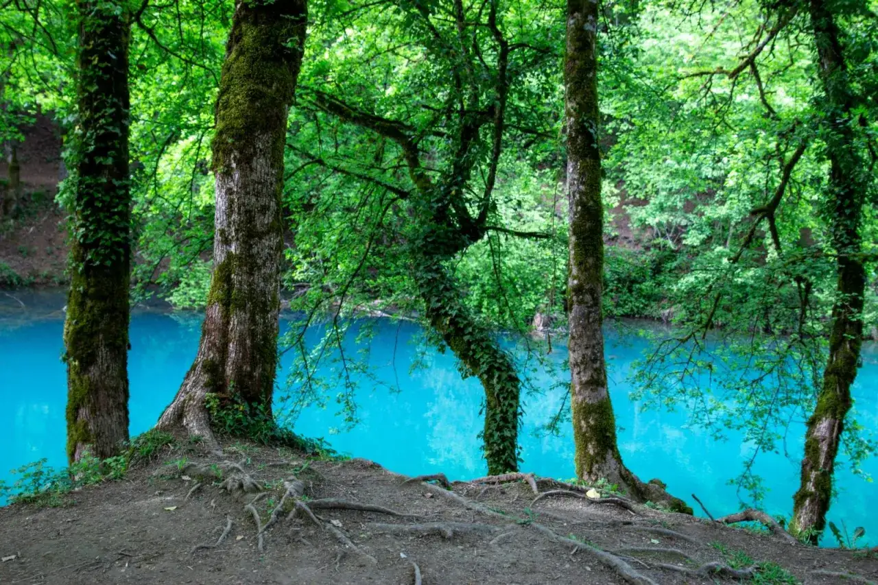 Arbres moussus bordant un lac bleu turquoise, un paysage enchanteur près d'Amberieu.