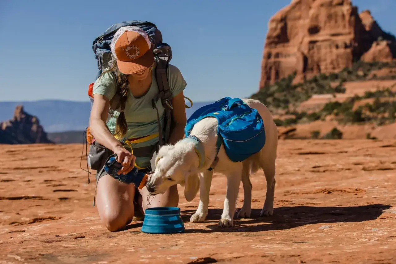 Une femme en randonnée avec son chien, lui donne à boire dans le désert. Le chien porte un sac à dos bleu.