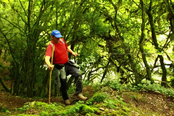 Saut Ruban - Votre guide complet pour une visite réussie
