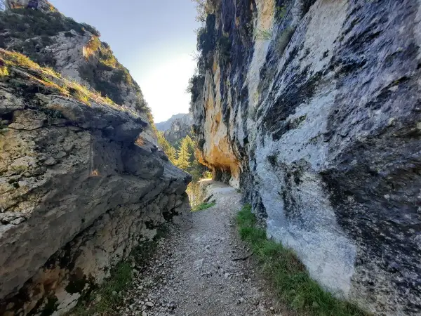 Sentier rocailleux serpentant entre les falaises imposantes des gorges de Trévans. Le soleil perce à travers la roche, illuminant le chemin.