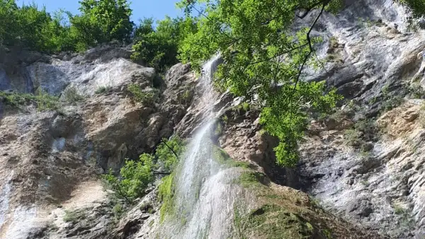 La cascade de Luizet dévale une falaise rocheuse verdoyante, baignée par le soleil. L'eau scintille sur la mousse.