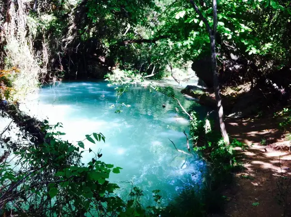 Magnifique cascade près de Gréoux-les-Bains, aux eaux turquoise, nichée dans une végétation luxuriante.