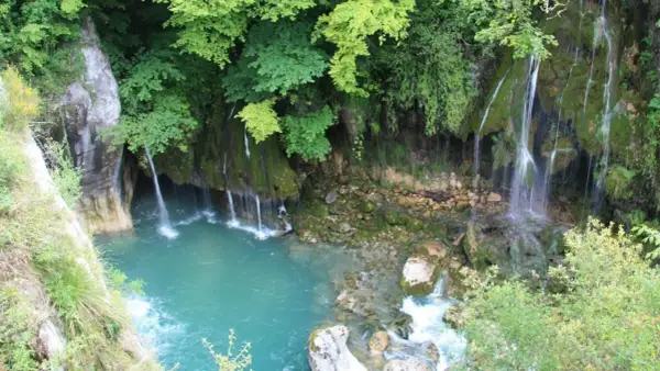 Les cascades du Saut du Loup dévalent une falaise verdoyante dans un bassin d'eau turquoise. Un spectacle naturel saisissant.
