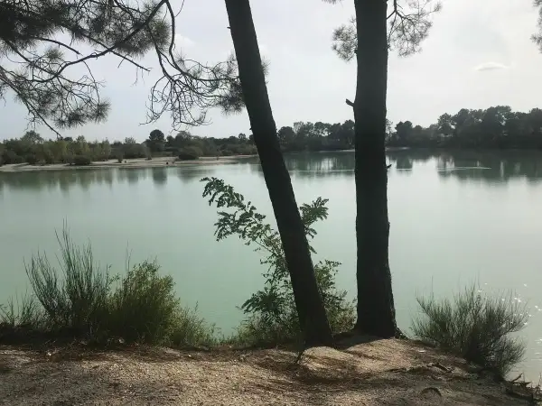 Deux pins se dressent sur la rive sablonneuse du lac de Paloumey, dont les eaux calmes reflètent le ciel.