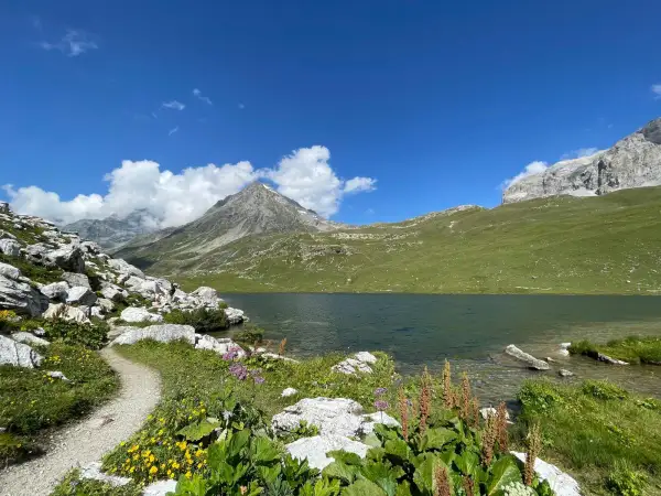 Sentier rocailleux bordant le lac de la Plagne, avec des montagnes verdoyantes et un ciel bleu éclatant.