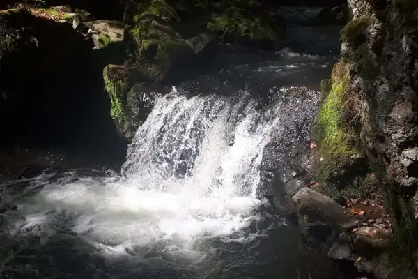 La cascade de Chiloza déverse ses eaux tumultueuses sur des rochers moussus, créant un spectacle naturel saisissant dans la pénombre d'une forêt.