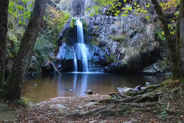 La cascade du Gour Saillant, un spectacle naturel d'eau vive tombant sur des rochers sombres, entourée de verdure et de racines noueuses.