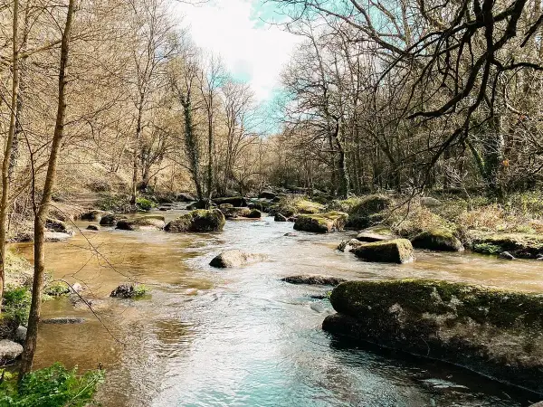 Un ruisseau serpente à travers un paysage rocheux, évoquant le chaos du gouet. Les arbres nus bordent la rive, leurs branches s'étendant vers le ciel.