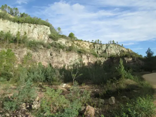 Falaises rocheuses verdoyantes sous un ciel bleu, évoquant le **Puy de Naouri**. Végétation dense au premier plan.