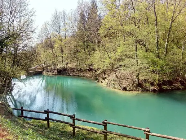 Le lac bleu d'Amberieu, une eau turquoise limpide bordée d'arbres verdoyants et d'un pont en bois.