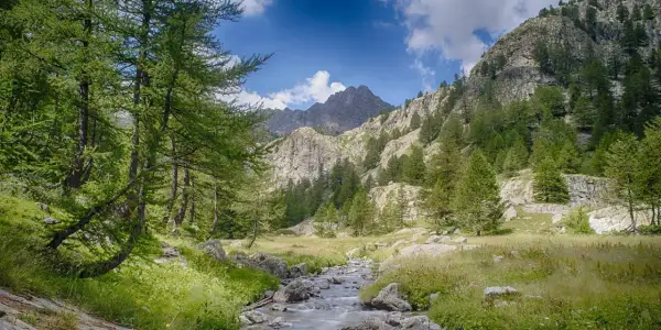 Un ruisseau serpente à travers une prairie verdoyante, bordée d'arbres et de rochers, menant à des montagnes escarpées sous un ciel bleu dans le parc de la Valmasque.